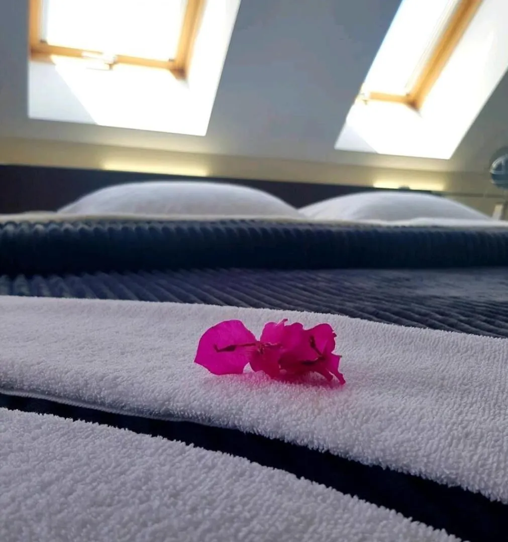 Синьо Лято Burgas Apartment